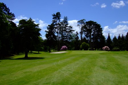 ニュージーランド プケコへゴルフ場