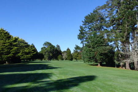 ニュージーランド プケコへゴルフ場