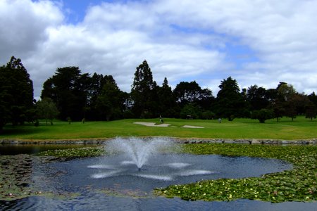 ニュージーランド プケコへゴルフ場