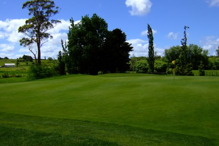 ニュージーランド プケコへゴルフ場