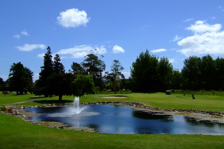 ニュージーランド プケコへゴルフ場