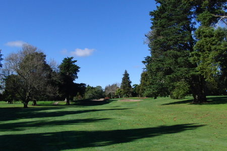 ニュージーランド プケコへゴルフ場