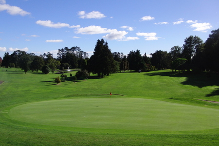 ニュージーランド プケコへゴルフ場