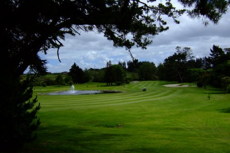 ニュージーランド プケコへゴルフ場