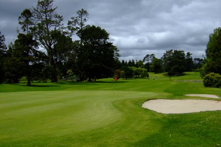 ニュージーランド プケコへゴルフ場