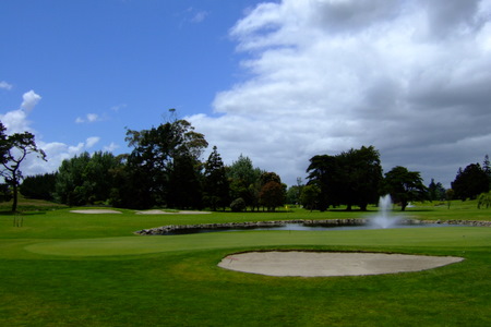 ニュージーランド プケコへゴルフ場