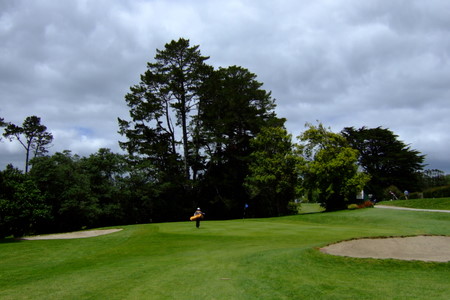 ニュージーランド プケコへゴルフ場