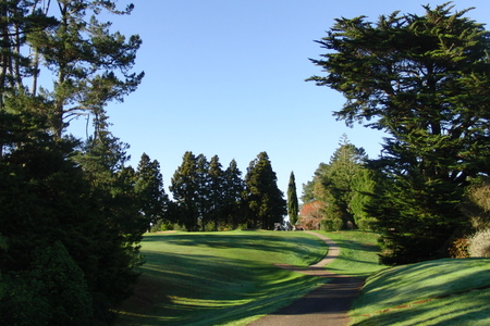 ニュージーランド プケコへゴルフ場