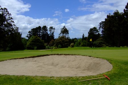 ニュージーランド プケコへゴルフ場