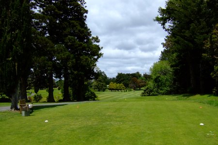 ニュージーランド プケコへゴルフ場