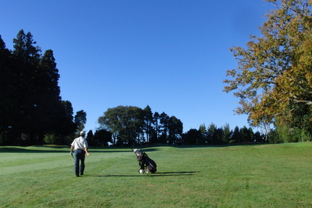 ニュージーランド プケコへゴルフ場