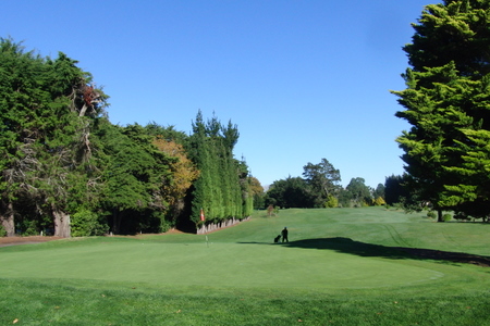 ニュージーランド プケコへゴルフ場