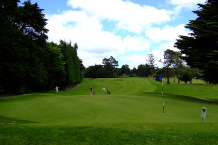 ニュージーランド プケコへゴルフ場