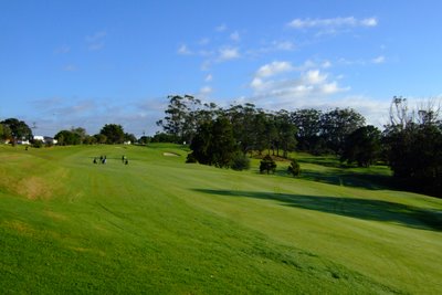 �j���[�W�[�����h�̃S���t��