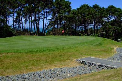 �j���[�W�[�����h�̃S���t��