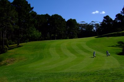 �j���[�W�[�����h�̃S���t��