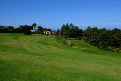 �j���[�W�[�����h�̃S���t��