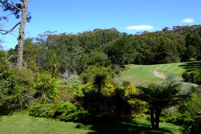 �j���[�W�[�����h�̃S���t��