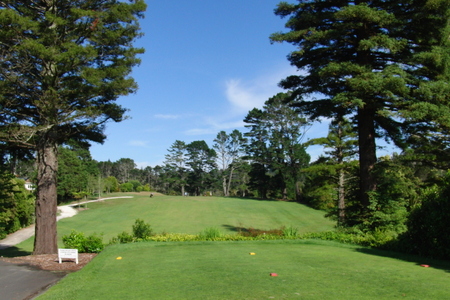 �j���[�W�[�����h�̃S���t��