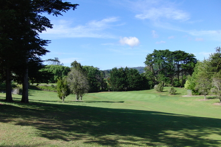 �j���[�W�[�����h�̃S���t��