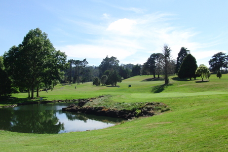 �j���[�W�[�����h�̃S���t��