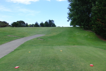 �j���[�W�[�����h�̃S���t��