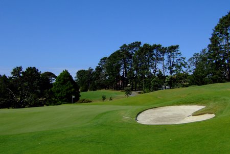 �j���[�W�[�����h�̃S���t��