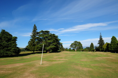 �j���[�W�[�����h�̃S���t��