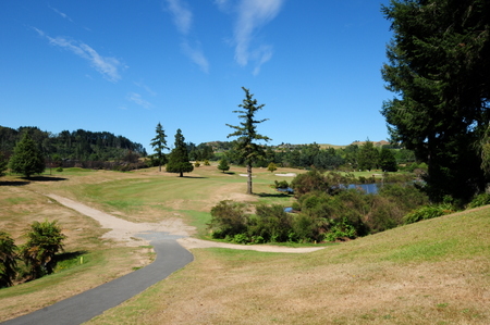 �j���[�W�[�����h�̃S���t��