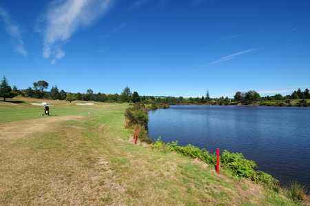 �j���[�W�[�����h�̃S���t��