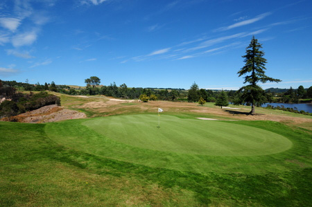 �j���[�W�[�����h�̃S���t��