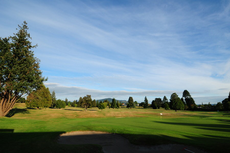 �j���[�W�[�����h�̃S���t��