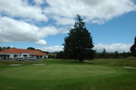 �j���[�W�[�����h�̃S���t��