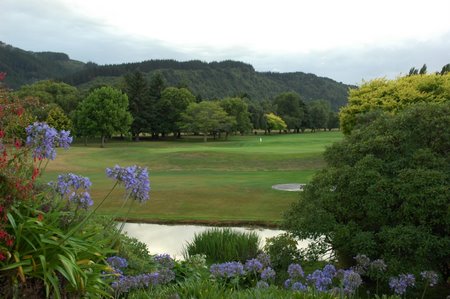 �j���[�W�[�����h�̃S���t��