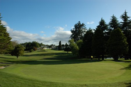 �j���[�W�[�����h�̃S���t��