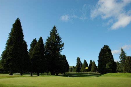 �j���[�W�[�����h�̃S���t��