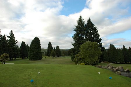 �j���[�W�[�����h�̃S���t��