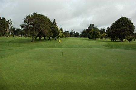 �j���[�W�[�����h�̃S���t��