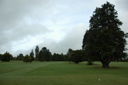 �j���[�W�[�����h�̃S���t��