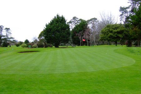 �j���[�W�[�����h�̃S���t��