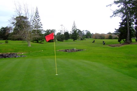 �j���[�W�[�����h�̃S���t��