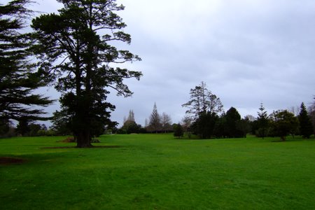 �j���[�W�[�����h�̃S���t��