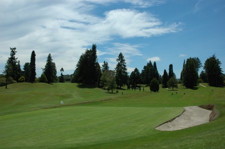 �j���[�W�[�����h�̃S���t��