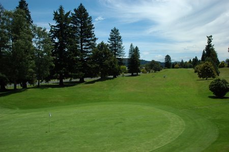 �j���[�W�[�����h�̃S���t��