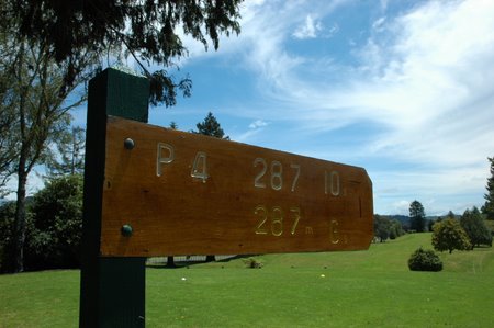 �j���[�W�[�����h�̃S���t��