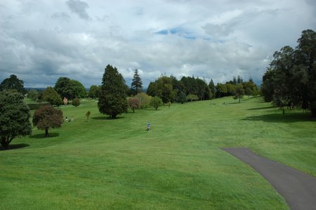 �j���[�W�[�����h�̃S���t��