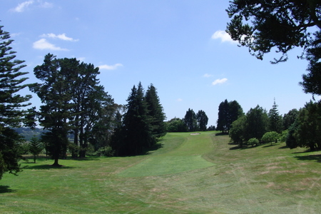 �j���[�W�[�����h�̃S���t��