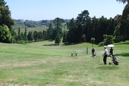 �j���[�W�[�����h�̃S���t��