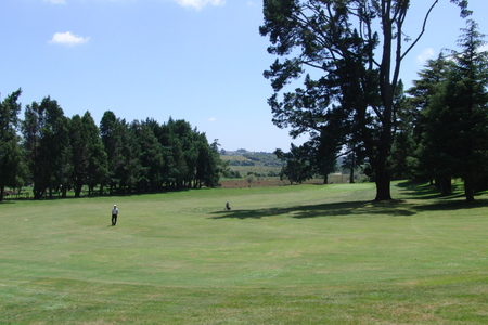 �j���[�W�[�����h�̃S���t��