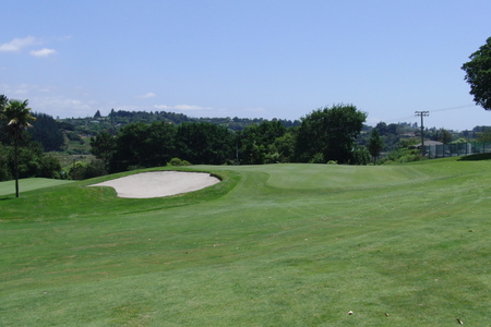 �j���[�W�[�����h�̃S���t��